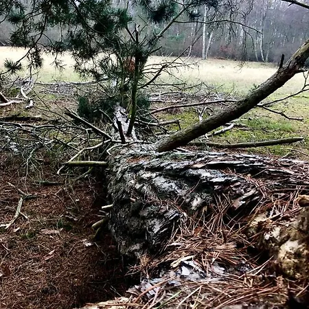 호텔 Zwischen Den Seen