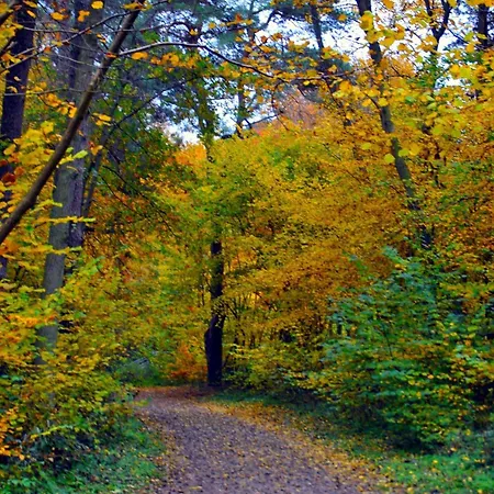 Zwischen Den Seen