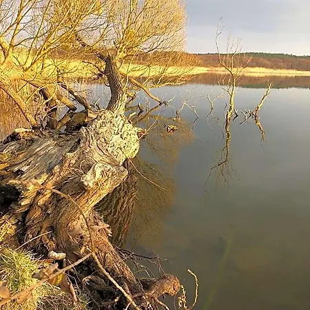 Zwischen Den Seen